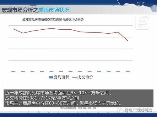 策划 成都蓝光地产观岭国际营销方案报告PPT