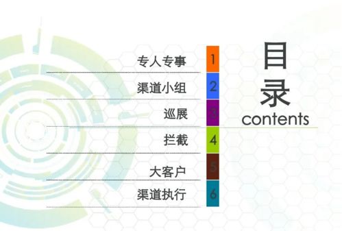 营销 房地产渠道拓客执行方案ppt